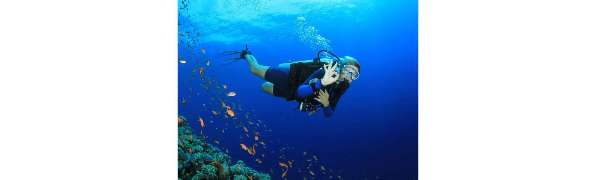 Scuba Diving - 1